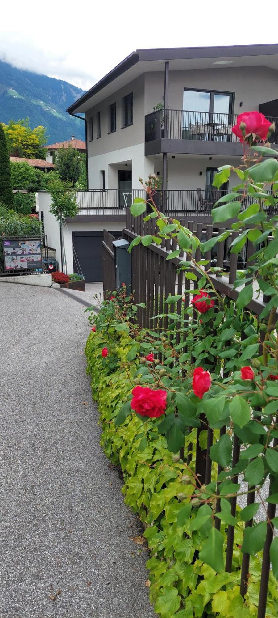 Marlingsuites - Vinea - Wieser Josef - Marling Exterior photo